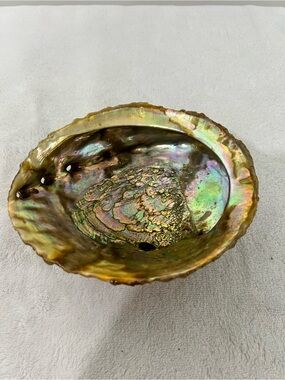 Shell Decorative Bowl for incense burneror smudge rituals